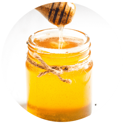Stingless Bee Honey Online