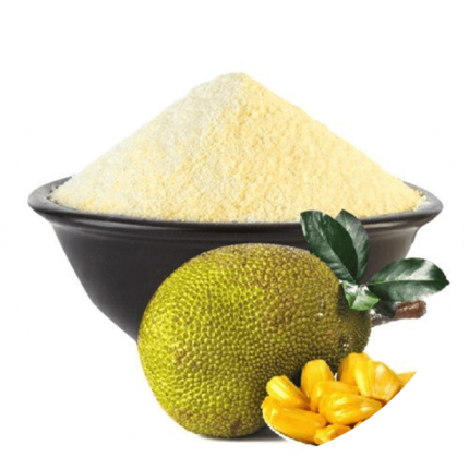 buy Jack Fruit Powder